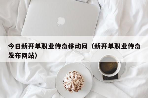 新开无英雄传奇私服